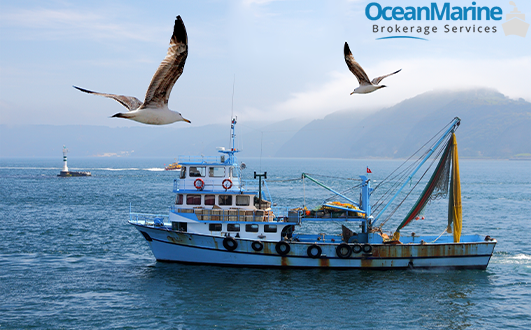 Work Boats For Sale, Available Now!